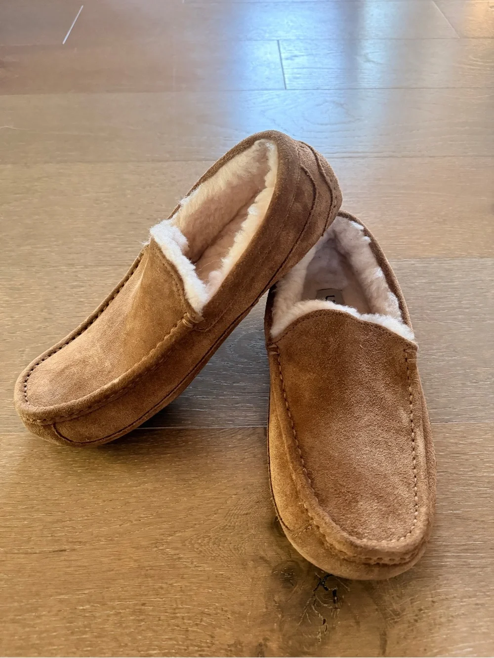 UGG Ascot Chestnut Brown Suede Plush-Lined Moccasin Slippers